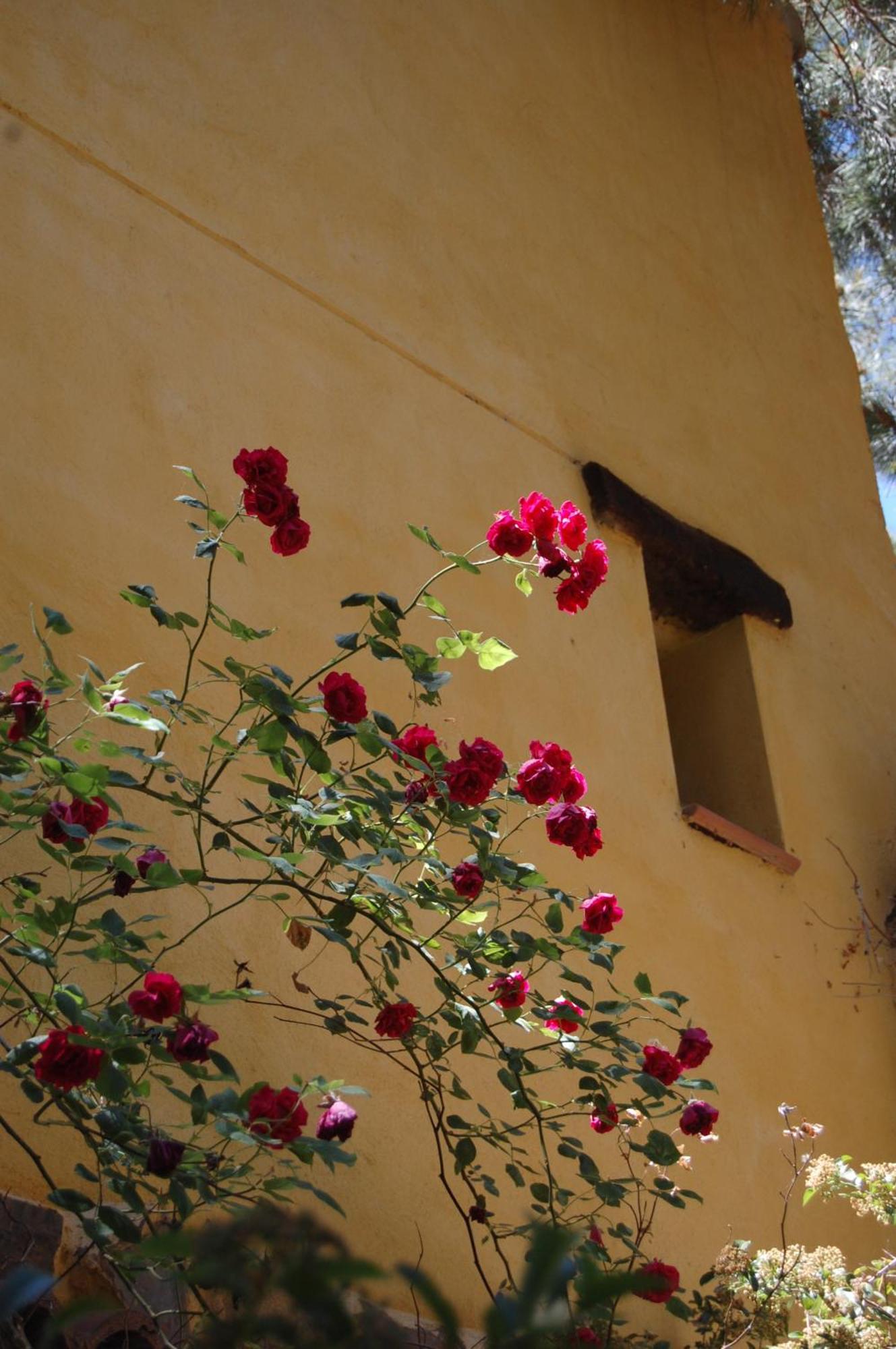 Rural Arco Iris Cuenca Hotel Cuenca  Bagian luar foto